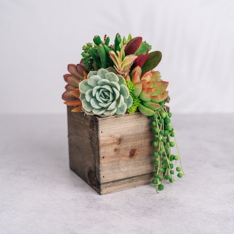 Succulent wedding cakes