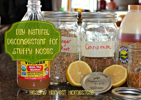 DIY Natural Decongestant that REALLY Works! Get Rid of a Stuffy Nose Naturally https://www.healingharvesthomestead.com/home/2016/11/27/diy-natural-decongestant-that-really-works Heidi Villegas Natural Remedies For Nasal Congestion, Nasal Flush Diy, Headcold Remedies Nasal Congestion, Homestead Medicine, Nose Ideas, Remedy For Sinus Congestion, Natural Remedies For Congestion, Medical Remedies, Nasal Congestion Relief