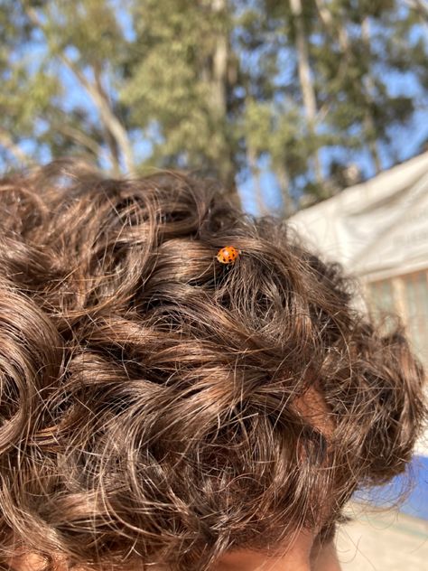 Lucky luck hair  soft butterfly aesthetic bug Brown Messy Hair Guy, Curly Brown Hair Guy, Brown Hair Male Aesthetic, Curly Brown Hair Men, Curly Brunette Boy, Light Brown Hair Male, Kids Brown Hair, Wavy Light Brown Hair, Curly Hair And Blue Eyes