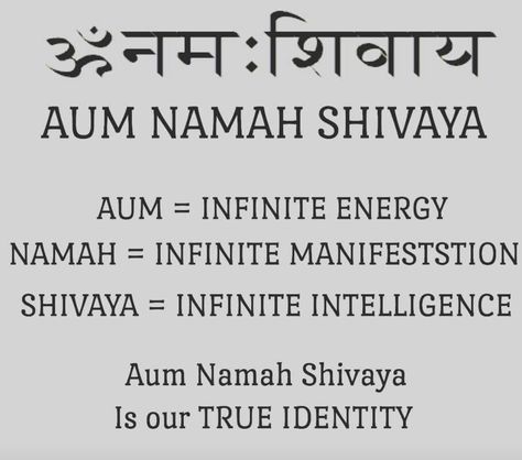 Vedic Mantras Sanskrit, Shani Mantra, Mantras Sanskrit, Sanskrit Mantras, Kundalini Mantra, Buddhist Mantra, Sanskrit Language, Pranic Healing, Sanskrit Quotes