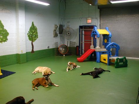 Doggy Playroom Dog Playroom, Dog Play Room, Dog Play Area, Hotel Pet, Indoor Dog Park, Teach Dog Tricks, Boarding Facility, Indoor Dog Kennel, Diy Dog Kennel