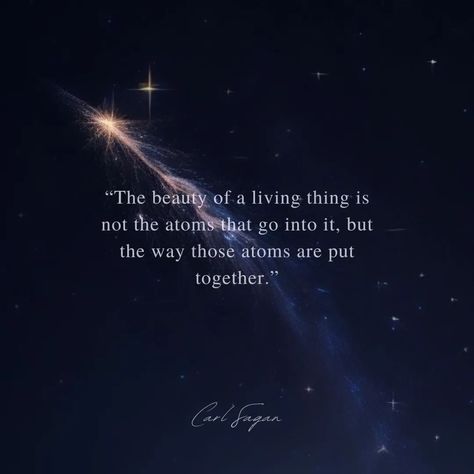 Quote by Carl Sagan✨️ Carl Sagan, a renowned astronomer and science communicator, popularized the study of the cosmos with his enthusiasm and accessible explanations. He contributed significantly to our understanding of planetary science, advocating for the exploration of Mars and other celestial bodies. Sagan's legacy lives on through his books, such as "Cosmos," and his iconic phrase "billions and billions," which continues to inspire curiosity about the universe. Before Neil deGrasse Tyso... Cosmos Carl Sagan, Carl Sagan Quotes, Cosmos Quotes, Space Facts, Planetary Science, Carl Sagan, The Cosmos, Astronomer, The Study