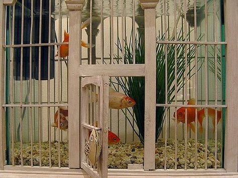 With a fish bowl set inside, this birdcage is a funny aquarium that gives the illusion that the fish can swim out into the room. Source: Flickr User PhOtOnQuAnTiQuE Aquarium Architecture, Amazing Aquariums, Cool Fish Tanks, Aquarium Terrarium, Bird Cage Decor, Vintage Bird Cage, Cool Fish, Birdcages, Tanked Aquariums