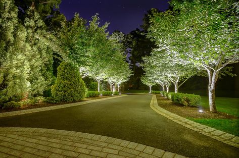 Elegant Landscaping, Stone, and Lighting Harding Township, NJ Sponzilli Desgner:Andrew Lastella Project Manager:Jason Sponzilli Project Description:This gorgeous estate is a showcase of exquisite plantings, hardscaping, and landscape lighting. Everything in the landscape plan speaks of elegance, complementing and enhancing this beautiful home. Project Scope:A grand stone entrance gate with privacy plantings and impressive lighting leads ... Read more Luxury Driveway, Elegant Landscaping, Front Garden Ideas, Lined Driveway, Beautiful Driveways, Driveway Entrance Landscaping, Park Lighting, Elegant Landscape, Driveway Lighting