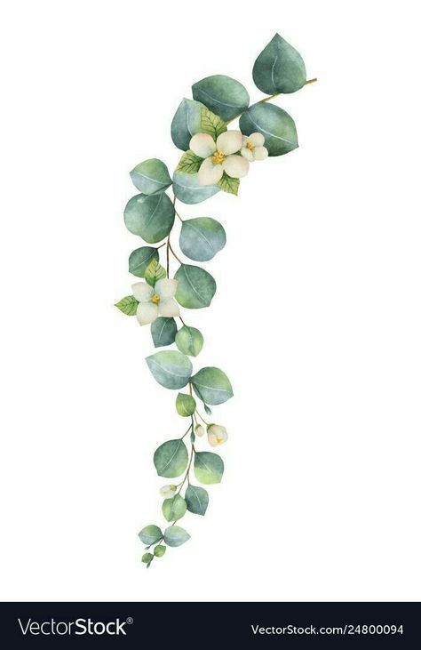 Flower And Greenery Tattoo, Eucalyptus Tattoo, Eucalyptus Illustration, Spring Foliage, Eucalyptus Flower, Whats Wallpaper, Spring Leaves, Watercolor Vector, Dollar Eucalyptus