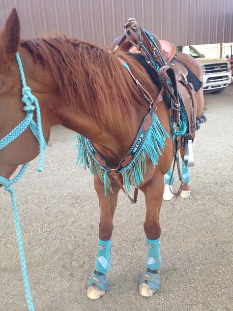 amazing tack saddle:flex tree pad: Won pad original splint boots: Professional choice glitter turquoise splint boots bell boots: Weaver turquoise cross bell boots tack set/head stall and breast collar: Showman hand beaded find @ chicks saddlery Horses Tacked Up, Western Horse Tack Sets, Tack For Horses, Cute Western Tack Sets, Sorrel Horse Tack Colors, Barrel Racing Bell Boots, Buckskin Horse Tack Color, Western Tack Sets, Horse Splint Boots