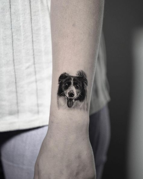 Border Collie Tattoo, collie tattoo, minimalist border collie tattoo, border collie tattoo simple, border collie tattoo ideas, rough collie tattoo, border collie tattoo small, minimalist collie tattoo, border collie tattoo outline, border collie tattoo designs, simple border collie tattoo, simple border collie tattoo designs, outline border collie tattoo, simple rough collie tattoo, geometric border collie tattoo, collie tattoo designs, minimalist border collie tattoo designs,melon collie tattoo Melon Collie, Collie Tattoo, Border Collie Tattoo, Minimalist Border, Dog Outline Tattoo, Tattoo Border, Tato Flash, Dog Outline, Outline Tattoo