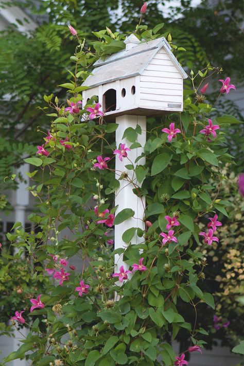 . Birdhouse, Beautiful Birdhouses, Garden Birdhouses, Garden Vines, Garden Cottage, Garden Pictures, Bird Garden, Country Gardening, Clematis