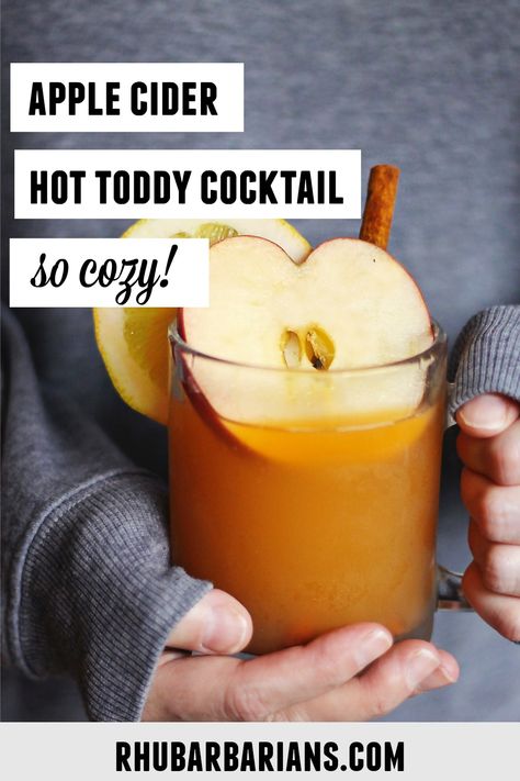 Apple Cider Whiskey, Apple Cider Hot Toddy, Hot Toddy Cocktail, Cider Cocktail Recipes, Cider Cocktail, Toddy Recipe, Hot Toddies Recipe, Apple Cider Cocktail, Whisky Cocktail