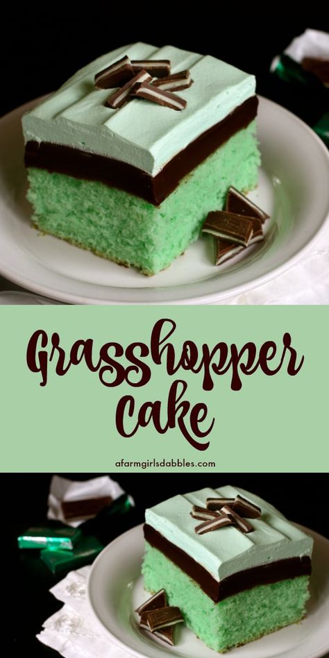 Grasshopper Cake from afarmgirlsdabbles.com - This creme de menthe cake is a longtime family favorite, a recipe I've enjoyed nearly all my life. Layers of moist mint cake, chocolate fudge, and minty whipped cream make this the perfect dessert for the Christmas season or for St. Patrick's Day...or absolutely any day! #grasshopper #mint #chocolate #fudge #layer #layered #andes #christmas #stpatricksday #green Grasshopper Cake, Grasshopper Recipe, Mint And Chocolate, Mint Desserts, Mint Chocolate Cake, Cooking Projects, Mint Cake, Mint Recipes, Chocolate Layer Cake