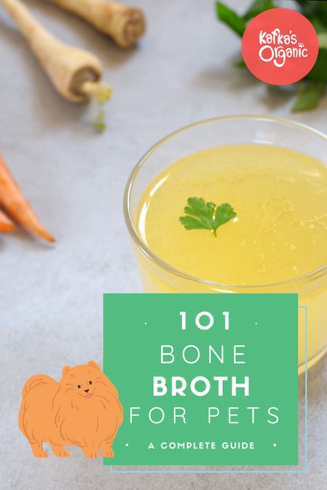 The only guide you'll need when learning all about bone broth for your dog and/or cat! Bone Broth For Cats, What Is Bone Broth, Bone Broth For Dogs, Broth For Dogs, Recipes With Vegetable Broth, Liquid Meals, Making Bone Broth, Make Dog Food, Bone Broth Recipe