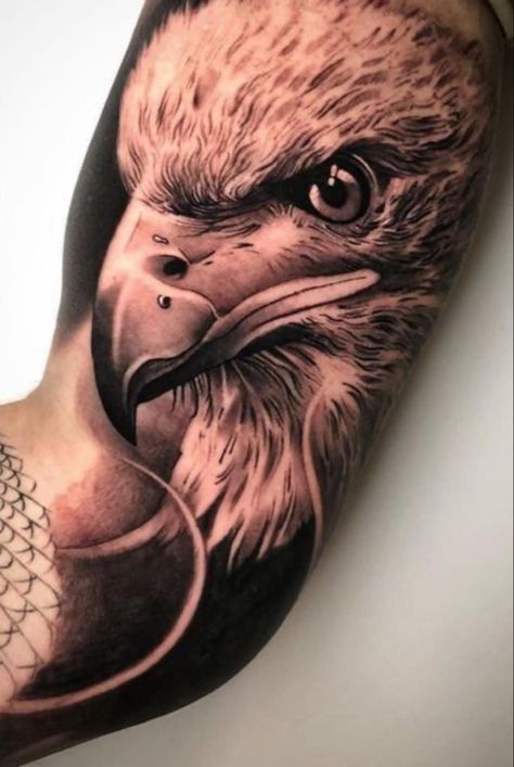 Eagle Bicep Tattoo, Bicep Tattoos For Men, Eagle Tattoo Designs, Tattoo Bicep, Coolest Tattoo, Eagle Head Tattoo, Bicep Tattoos, Bicep Tattoo Men, Hawk Tattoo