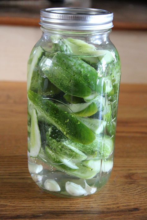 Half Sour Refrigerator Pickles, Half Sour Pickle Recipe, Homemade Refrigerator Pickles, Pickles Recipes, Garden Vegetable Recipes, Canning Pressure Cooker, Salsa Canning Recipes, Pickled Foods, Pickle Recipes Homemade