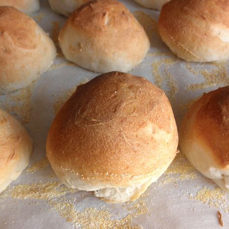 Better Batter Gluten Free, French Rolls, Gluten Free Rolls, Pan Sin Gluten, Gluten Free Buns, Gluten Free Recipes Bread, Sans Gluten Sans Lactose, Asiago Cheese, Gluten Free Living