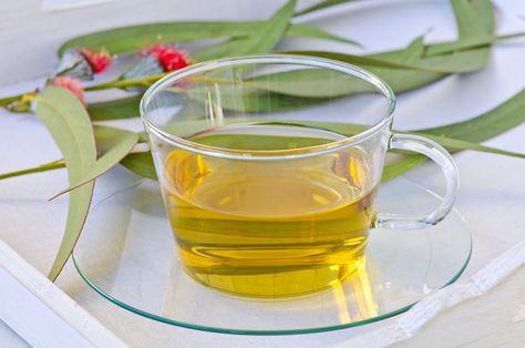 Bath Teas, Fast Growing Evergreens, Asthma Relief, Eucalyptus Tea, Tea Health, Feuille Eucalyptus, Bath Soaks, Tea Health Benefits, Chair Aesthetic