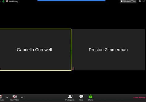 Zoom Meeting Template 2 People, Google Meet Template, Zoom Call Template, Template Zoom Meeting, Template Zoom, Spotify Template, Fake Call, Procreate Ipad Tutorials, School Template