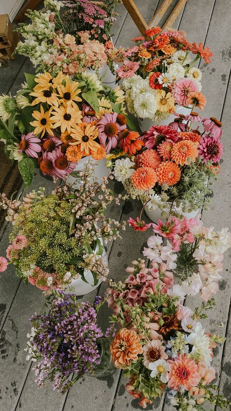 Aesthetic Flower Fields, Field Of Wildflowers Aesthetic, Flower Field Aesthetic Vintage, Flower Feild Pics Aesthetic, Picking Wildflowers Aesthetic, Flower Farms, Farm Flowers, Cut Flower Farm, Spring Flower Arrangements