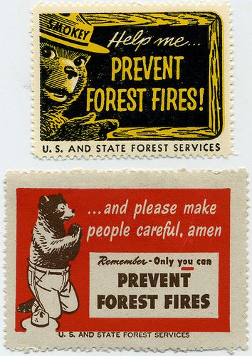 Smokey The Bear Tattoo, Smokey The Bears, Native American Wisdom, Bear Tattoo, Nature Posters, Forest Service, Forest Fire, Retro Ads, Christian Humor