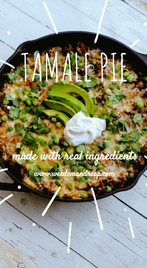 Success!  I finally made a recipe correctly and it's delicious! Tamale Pie With Masa, Chicken Tamale Pie, Easy Homemade Cornbread, Chicken Tamale, Tamale Pie Recipe, Tamale Pie, Homemade Enchilada Sauce, Homemade Enchiladas, Homemade Cornbread