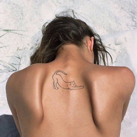 A Cat Tattoo, Cat Tattoo, Tattoo On, A Cat, A Woman, Instagram