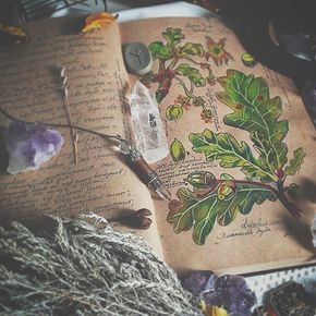 Earth witch botanical studies with crystals Witch's Cottage, Magick Book, 수채화 그림, Witch Aesthetic, Green Witch, Witchy Vibes, Nature Journal, Witchy Things, Witchy Stuff