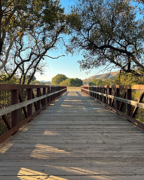 Are you looking to explore some remarkable Bay Area Hikes? Let us fill you in! 🌳 Morgan Hill is home to over a dozen parks and preserves where visitors can explore the unique biodiversity of the region. As the seasons turn, fall is one of the best times of year to get outside! Here are some of our favorite parks to trailblaze 👇 🌲 Henry W. Coe State Park is the largest state park in Northern California offering over 250 miles of hiking trails and old ranch roads to explore. In the evenings, ... Bay Area Hikes, Morgan Hill, Get Outside, Northern California, Hiking Trails, State Park, Bay Area, State Parks, The Outsiders