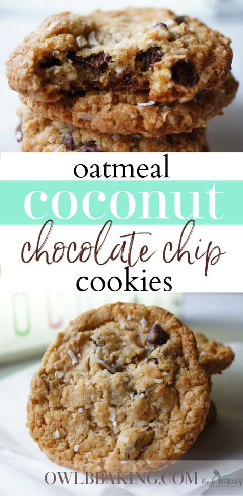 Dark Chocolate And Coconut Recipes, Oatmeal Coconut Chocolate Cookies, Chocolate Chip And Coconut Cookies, Coconut Chip Cookies, Cookies With Coconut And Chocolate Chips, Coconut Chocolate Recipes, Coconut And Oatmeal Cookies, Dark Chocolate Coconut Cookies, Oatmeal Coconut Chocolate Chip Bars