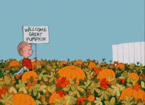 Great Pumpkin GIF - Pumpkin CharlieBrown PumpkinPatch - Discover & Share GIFs Charlie Brown Pumpkin, It's The Great Pumpkin Charlie Brown, Best Halloween Movies, Great Pumpkin Charlie Brown, It's The Great Pumpkin, Charlie Brown Halloween, Peanuts Halloween, Charlie Brown Snoopy, Animation Cel