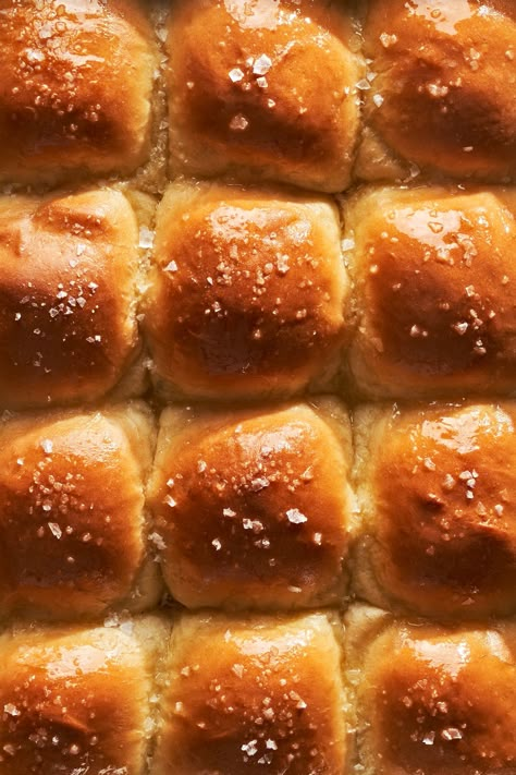 Delish Thanksgiving Rolls Recipe, Best Thanksgiving Rolls, Thanksgiving Rolls Recipes, Thanksgiving Rolls, Thanksgiving Bread, Cozy Winter Recipes, Thanksgiving Casserole, Thanksgiving Foods, Brioche Rolls