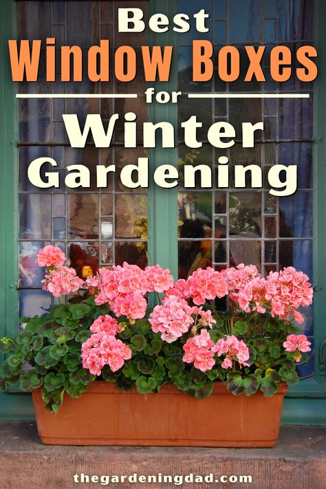 Learn about the Best Window Boxes for Winter Gardening and how to use them with this buyer's guide! Perfect for gardeners, farmers, homesteaders, greenhouses, and any type of house! #windowbox #garden #gardening Landscape Planters, Grow Plants Indoors, Vertical Container Gardening, Homestead Gardening, Fruit Growing, Self Watering Containers, Laundry Soap Homemade, Gardening Guide, Winter Gardening