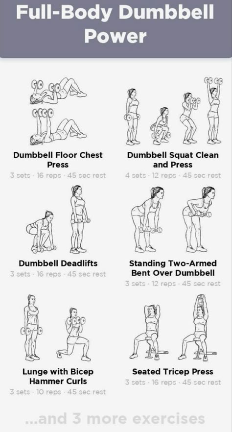 Dumbbell Fat Burning Workout, Full Body Pump Workout, Easy Gym Routine For Women, Home Workout With Weights For Women, Full Body Workout Weights Women, Barbell And Dumbbell Workout, Women Dumbbell Workout, Dum Bell Workout For Women, Workout Dumbell Women