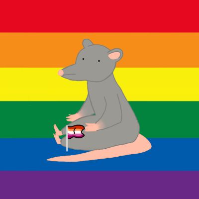 Make your own rat. Why? Because 1. Rats are cool 2. Because why not? Hey, I just made this game for fun! Every few days I'll update it! Rat Crafts, Games For Fun, A Rat, Random Ideas, Create Image, Image Makers, Rats, Make Your Own, Make Your