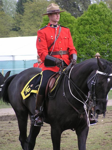 https://flic.kr/p/cVkXcy | Royal Canadian Mounted Police-Gendarmerie royale du Canada | The Royal Windsor Horse Show 2012 Canadian Mountie, Men's Equestrian, Canadian Horse, Canadian Mounted Police, Man In Uniform, Mounted Police, Men's Uniforms, Hunks Men, Police Uniforms