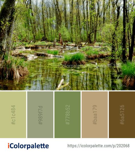 51 Bayou Color Palette ideas in 2021 | iColorpalette Bayou Color Palette, Marsh Color Palette, Pond Color Palette, Rainforest Color Palette, Swamp Color Palette, Cottage Core Color Palette, Color Branding, Pallet Color, Color Palette Ideas