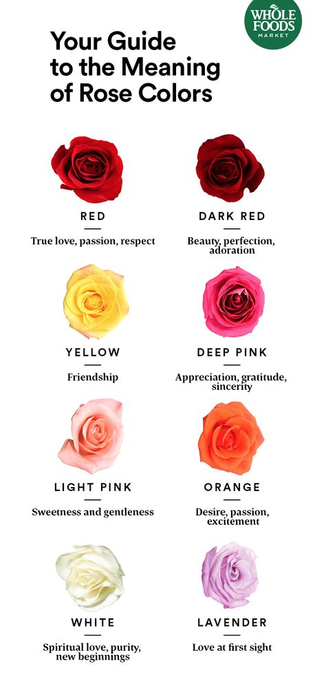 Red, white, pink or lavender. See what each rose color represents and learn how to pick the perfect bunch for your valentine. Plus, when you shop our Whole Trade roses, workers in Ecuador or Colombia can use some of those funds on programs like adult education and housing development. Rose Meanings, Color Meaning Chart, Colour Meanings, Red And Orange Flowers, Rose Color Meanings, Rose Meaning, Housing Development, Flower Meanings, Rose Images