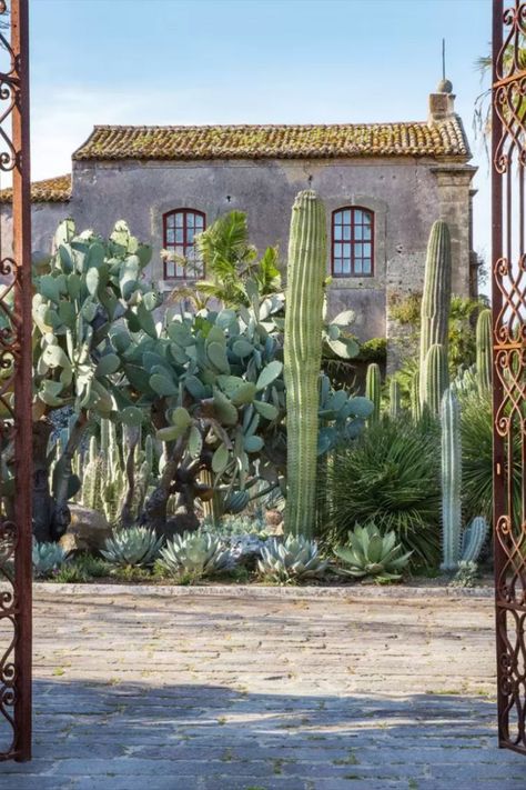 Palm Springs Garden, Cactus Garden Design, Cactus Garden Landscaping, Mexican Garden, Riad Marrakech, Pool Landscape Design, Dry Garden, Desert Garden, Design Outdoor