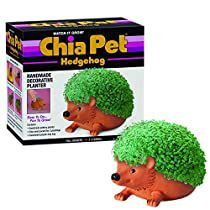 Check this out! Pet Hedgehog, Chia Pet, Hedgehog Pet, Seed Pack, Unique Pottery, Nostalgic Toys, Pet Bunny, Decorative Planters, Pottery Planters