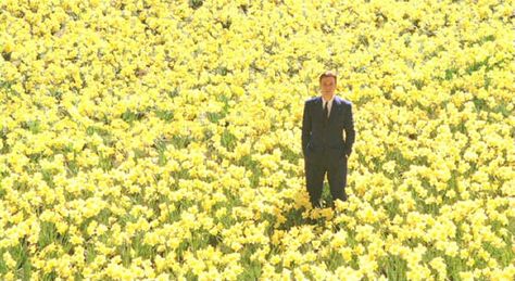 Daffodil scene....Big Fish Big Fish Movie, Alison Lohman, Color In Film, The Truman Show, Reservoir Dogs, Septième Art, Movie Shots, Dark City, Ewan Mcgregor