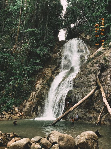 Exploring waterfalls. Swimming. Summer holiday. Morobe province. Home Morobe Province, Summer Holiday, Forest, Swimming