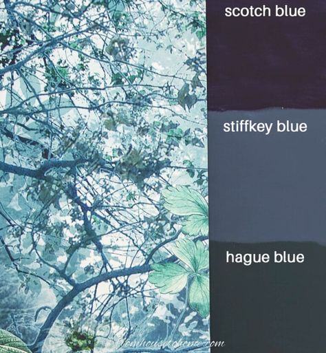 Farrow & Ball: scotch blue vs stiffkey blue vs hague blue Farrow Ball Hague Blue, Farrow And Ball Bedroom, Blue Home Offices, Paint Color Trends, Office Paint Colors, Stiffkey Blue, Complimentary Colours, Hague Blue, Choosing Paint Colours