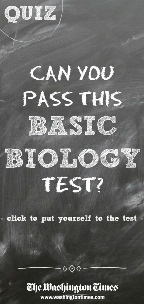 QUIZ: Can you pass this Basic Biology quiz? Put yourself to the test! #quiz Biology Quotes, Biology Knowledge, Biology Quote, Choose Me Quotes, Biology Exam, Basic Biology, Biology Test, School Quiz, Science Quiz