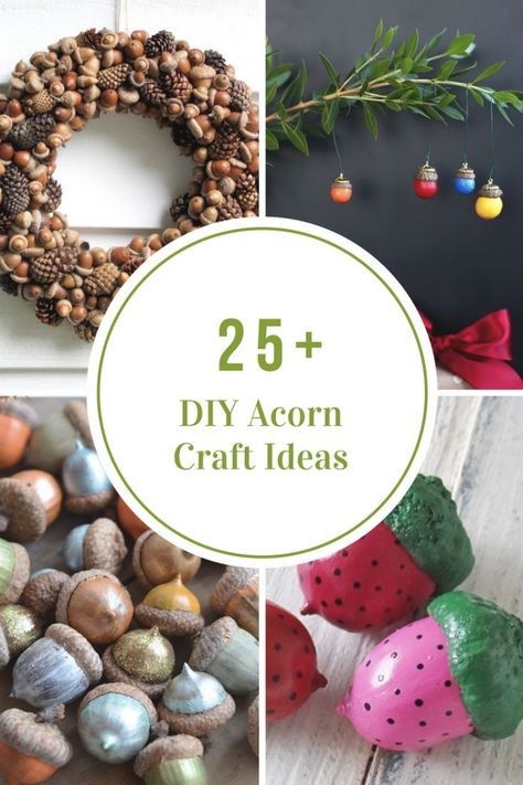 Conkers Craft, Acorn Craft, Fall Acorns, Acorn Ornaments, Acorn Crafts, Coffee Filter Crafts, Idea Room, Cones Crafts, Pine Cone Crafts