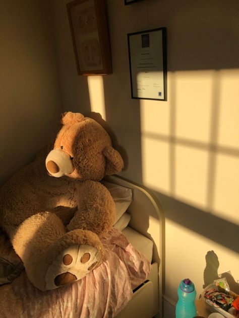 teddy bear on bed with window shadows and golden light Teddy Bedroom Aesthetic, Teddy Bear Room, Teddy Girl, Giant Teddy Bear, Aesthetic Room Ideas, Makeover Bedroom, Teddy Bear Girl, Room Prints, Homemade Beauty