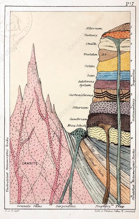 1838 Mantell's Geological Strata Section. - Stock Image - C011/0937 - Science Photo Library Geology Art, Scientific Poster, Section Drawing, Geology Rocks, Science Photos, Mountain Paintings, Science Art, Retro Art, Rocks And Minerals