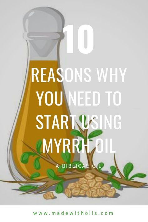 Learn about the powerful uses and benefits of this biblical oil called myrrh. Myrrh Essential Oil - This oil has been important for a very long time. It is even mentioned in the Bible and closely associated with Jesus. Find out more about it's uses and benefits #essentialoils #essentialoiluses Uses For Frankincense Essential Oil, Myrrh Essential Oil Blends, Myrrh Essential Oil Uses, Biblical Oils, Frankincense Essential Oil Benefits, Myrrh Oil, Myrrh Essential Oil, Diy Essential Oil Recipes, Muscle Rub