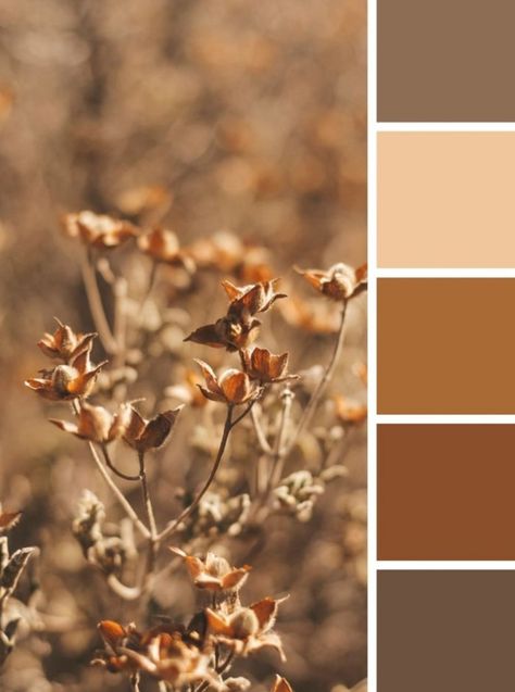 Earth Colour Palette, Mixing Primary Colors, Painting Corner, Studio Building, Autumn Palette, Colour Pallets, Beige Color Palette, Fall Palette, Palette Inspiration