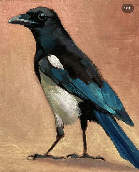 Magpie Art, Crow Painting, A Level Art Sketchbook, Wildlife Artwork, Dream Painting, Raven Art, Jackdaw, Rule The World, Bird Artwork