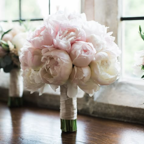 Tudor Rose Florist | Weddings Blush Pink Roses Bouquet, Peonies Bride Bouquet, Peony Bridal Bouquet Blush, Pink Peony Bridal Bouquet, Wedding Flowers Pink Peonies, Wedding Bouquets Peonies, Pink Peony Bouquet Wedding, Peonies Bridal Bouquet, Bridal Bouquet Peony