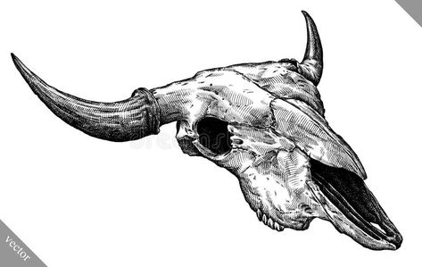 Longhorn Skull Drawing, Skull Side View, Cow Skull Tattoos, Bull Skull Tattoos, Skull Drawings, Bull Tattoos, Longhorn Skull, Buffalo Skull, Skulls Drawing