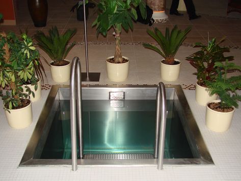 Stainless steel plunge pools Sauna Bathroom Design, Home Spa Room, Sauna House, Plunge Pools, Cold Plunge, Outdoor Sauna, Sauna Room, Outdoor Spa, Spa Design